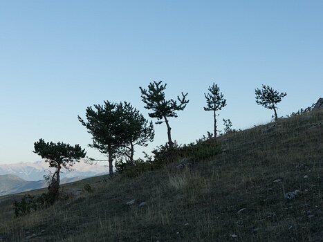 Philippe Philippe C, détail sortie