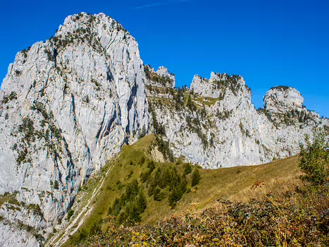 Florence Florence LP, détail sortie