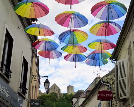 P1110846 Chevreuse et le Château de la Madeleine.