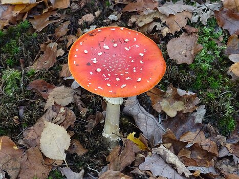 Christian Christian D, détail sortie