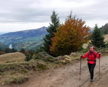 20191019-16h48m13s-20191019-16h48m13s-P1130068-V3-V3