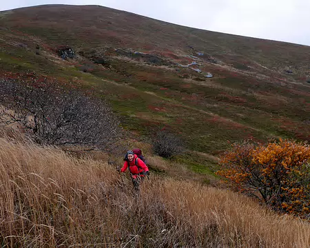 20191020-10h58m49s-20191020-10h58m49s-P1130111-V3-V3