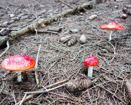 20191020-11h16m55s-20191020-11h16m55s-DSC01848-V3-V3