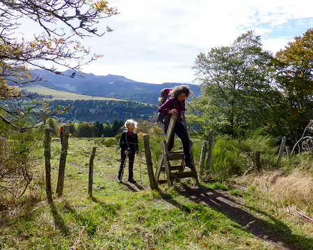 20191020-13h00m08s-P1100768-V3