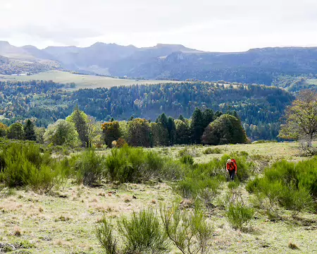 20191020-13h39m41s-20191020-13h39m41s-P1130118-V3-V3