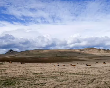 20191020-13h57m37s-20191020-13h57m37s-P1130122A-V3-V3