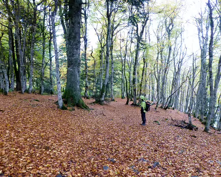 20191020-14h35m09s-P1100775-V3