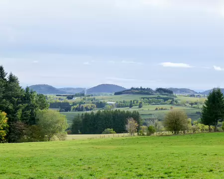 20191021-10h07m32s-P1100791-V3