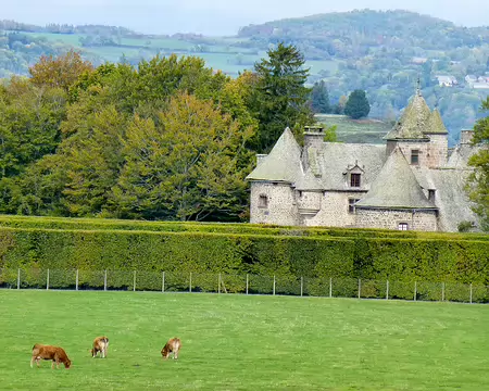 20191021-11h52m47s-P1100798-V3