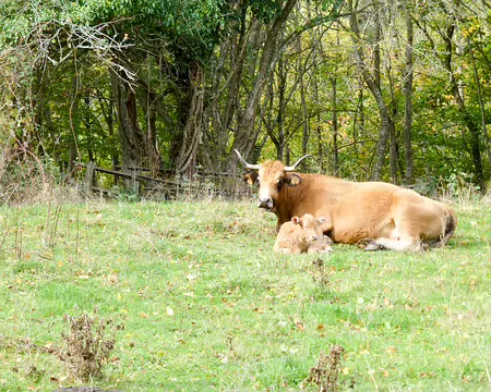 20191021-12h00m10s-P1100799-V3