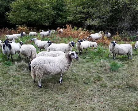 20191021-15h41m25s-20191021-15h41m25s-088-V3-V3