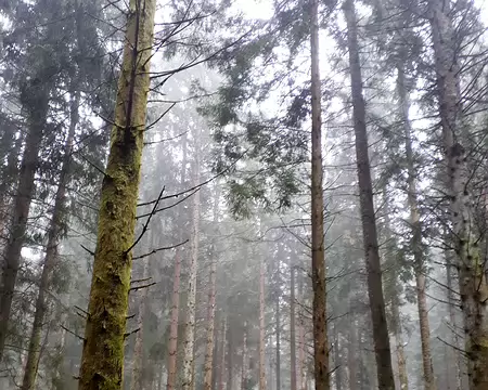 20191022-15h21m27s-20191022-15h21m27s-120-V3-V3