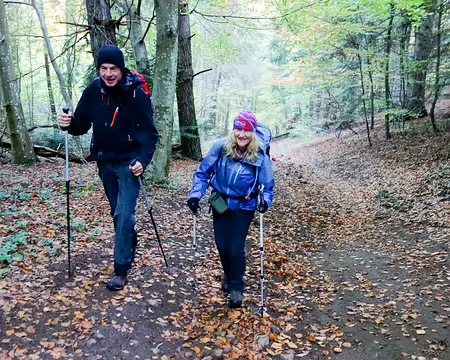 20191025-09h01m03s-20191025-09h01m03s-DSC01917-V3-V3