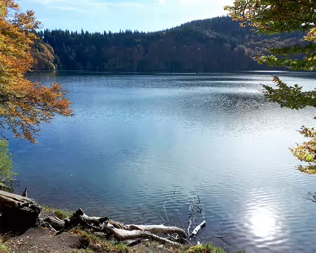 20191025-14h49m27s-20191025-14h49m27s-232-V3-V3