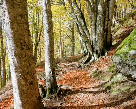 20191025-14h49m34s-20191025-14h49m34s-DSC01924-V3-V3