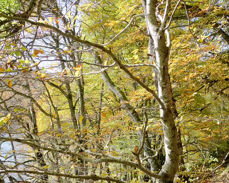 20191025-14h52m05s-20191025-14h52m05s-DSC01930-V3-V3