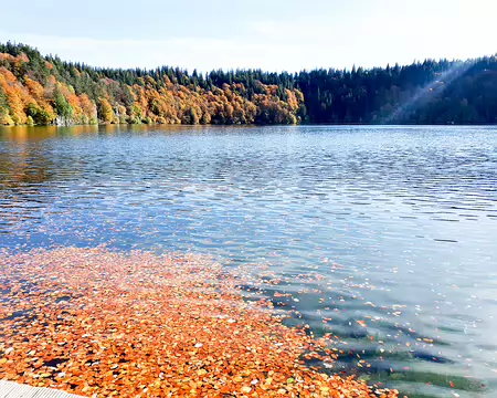 20191025-14h53m23s-20191025-14h53m23s-235-V3-V3