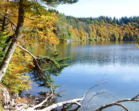 20191025-14h56m29s-P1100920-V3