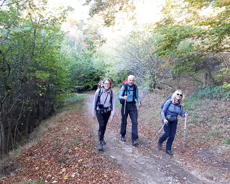 20191026-09h07m07s-20191026-09h07m07s-247-V3-V3