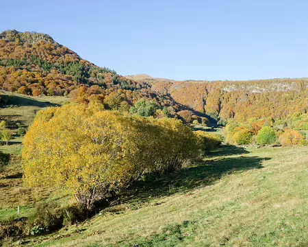 20191026-09h41m02s-20191026-09h41m02s-DSC01945-V3-V3