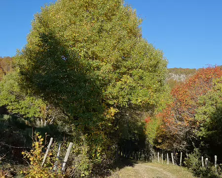 20191026-09h51m20s-20191026-09h51m20s-DSC01951-V3-V3