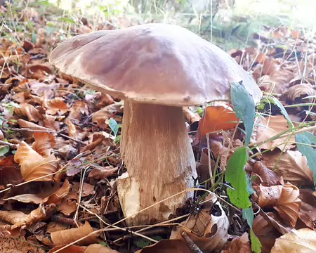 20191026-10h33m33s-20191026-10h33m33s-262-V3-V3