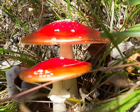 20191026-11h50m54s-20191026-11h50m54s-DSC01963-V3-V3