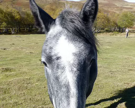 20191026-11h50m54s-20191026-11h50m54s-DSC01963-V3-V3b