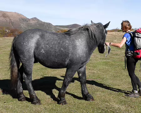 20191026-11h50m54s-20191026-11h50m54s-DSC01963-V3-V3c