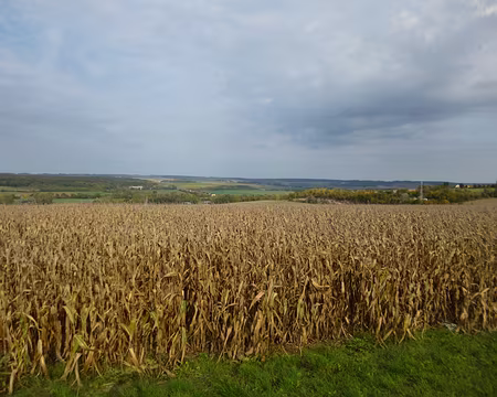 P1110926 Paysage briard