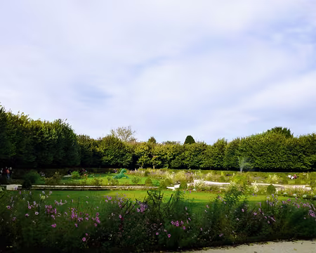 P1110961 Le jardin Bossuet, XVIIè s.