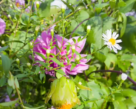 20191006_104354