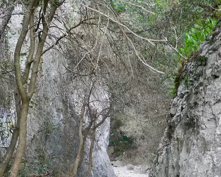 P1060209 Gorges de Régalon