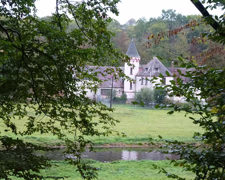 P1110895 Vallée de la Guéville.