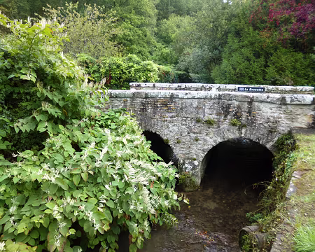 P1110905 La Drouette.