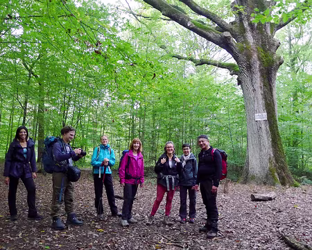 P1340883_redimensionner