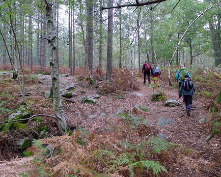 P1340894_redimensionner