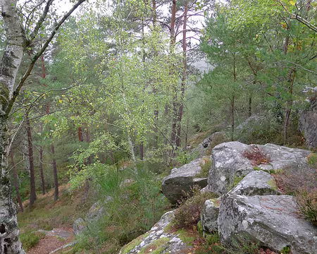 P1340904_redimensionner