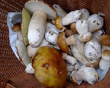 P1340911_redimensionner