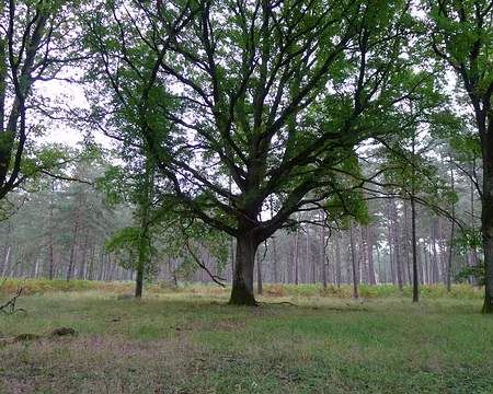 P1340916_redimensionner