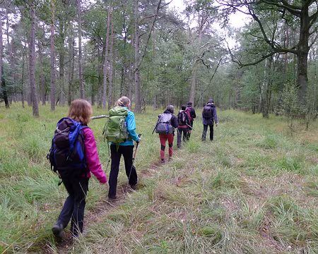 P1340934_redimensionner