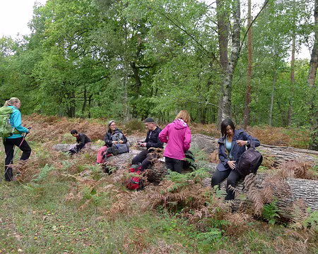 P1340940_redimensionner