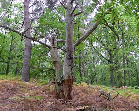 P1340953_redimensionner