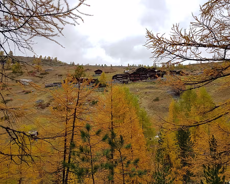 20191020_090426 Ze Gassen