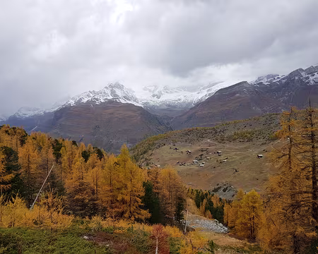 20191020_093426 Vue vers Trift