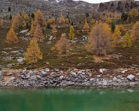 20191020_094951 Le Lac Vert (Grünsee) porte bien son nom