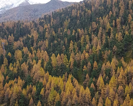 20191020_132120_002 Les fameuses cabanes sur pilotis