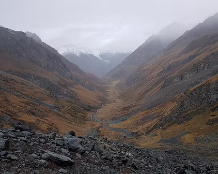 20191021_121426 Au fond de la vallée du Mellichbach