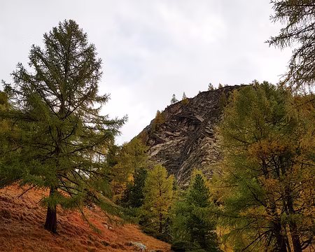 20191022_081751 J4 - Montée vers Trift