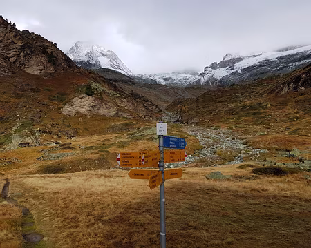 20191022_094551 Trift